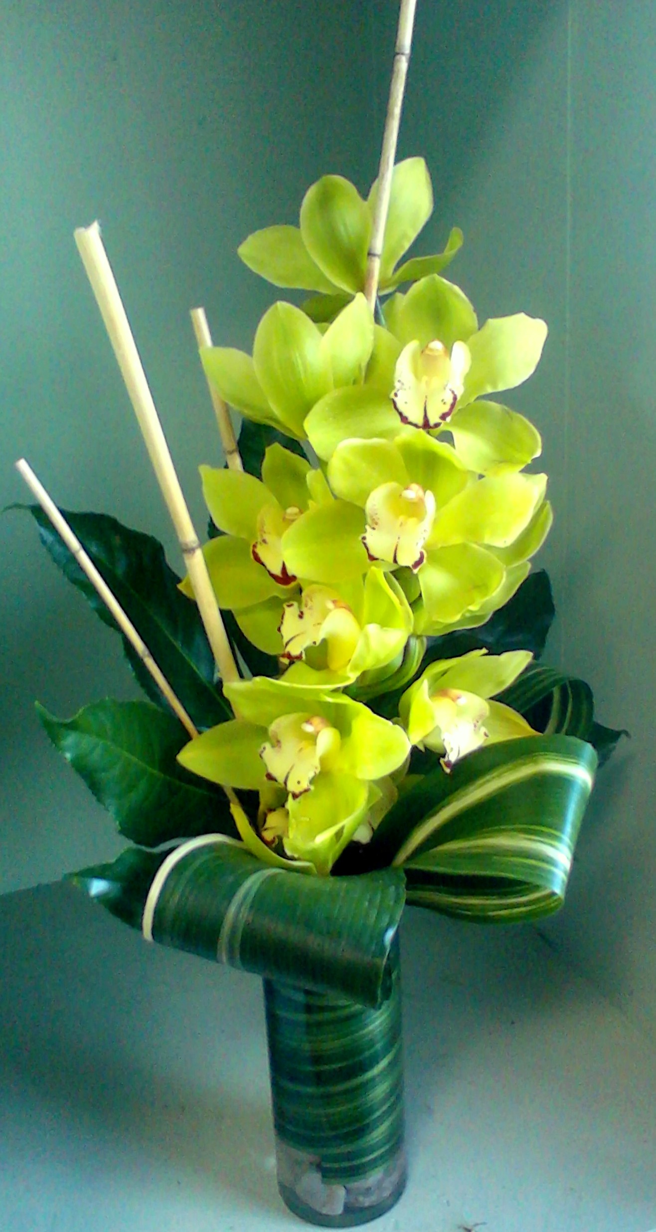Exotic Cymbidium Orchid Arrangement | Grande Flowers